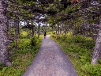 Park Narodowy Cape Breton Highlands